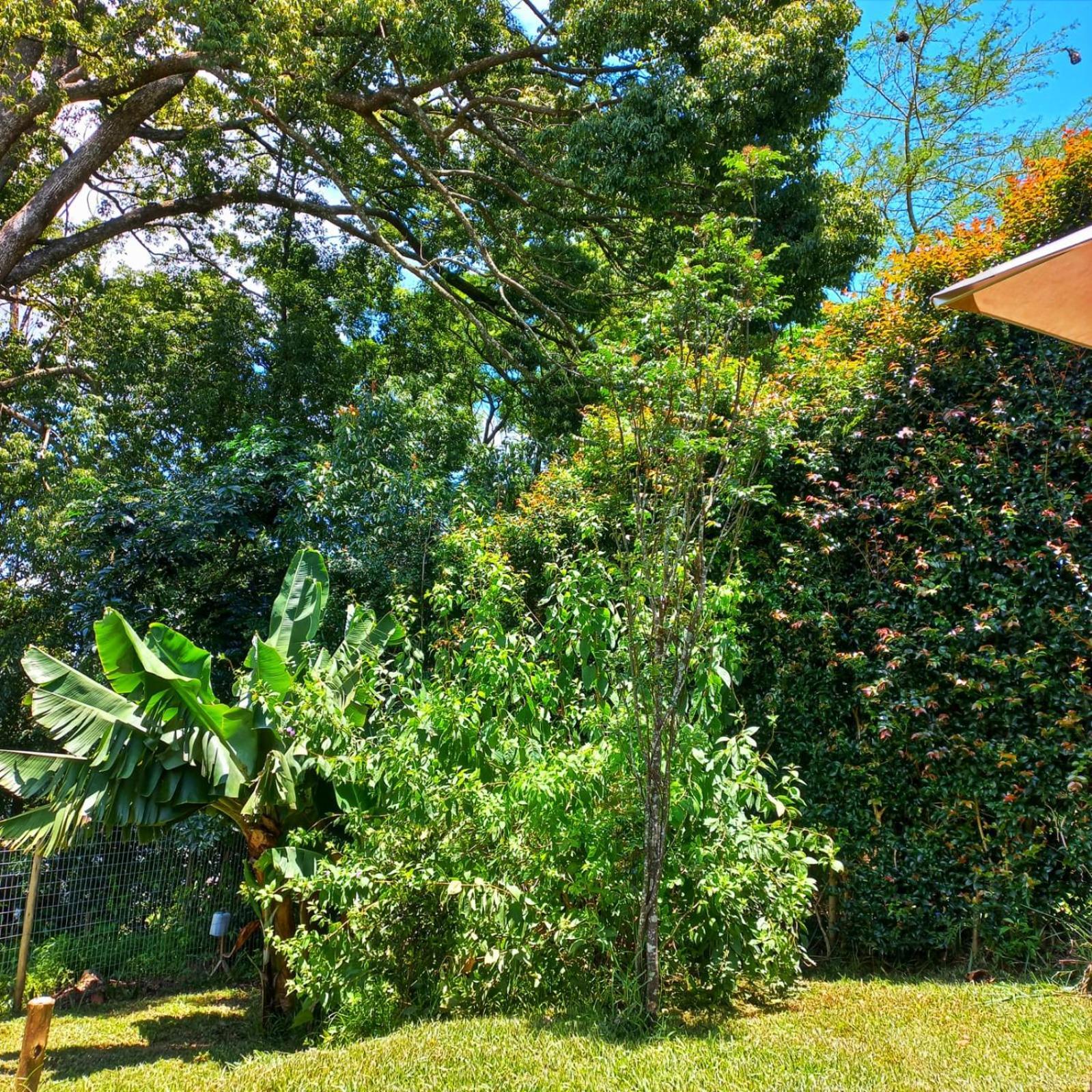 Highview Lodge Gillitts Buitenkant foto